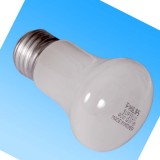 F燈泡 PHILIPS 40W 220V 螺口 已停產，找代用型號>>